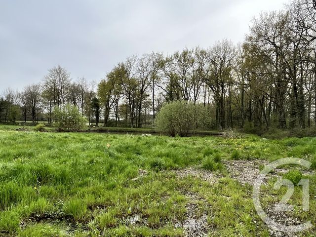 terrain - PONT ST MARTIN - 44